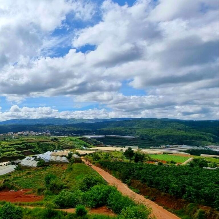 Bán đất, xã Xuân Thọ, thành phố Đà Lạt, tỉnh Lâm Đồng, 200m2, thích hợp đầu tư kinh doanh, Đường hẻm bê tông 4m
